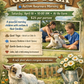 Passes